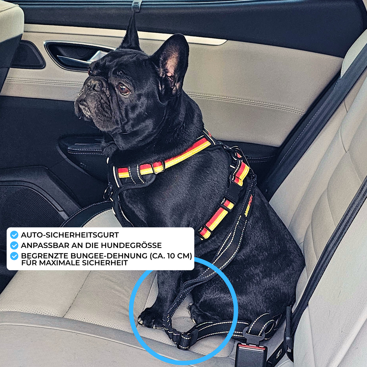 Freihand-Umhängeleine verstellbar mit Auto-Sicherheitsgurt (schwarz)