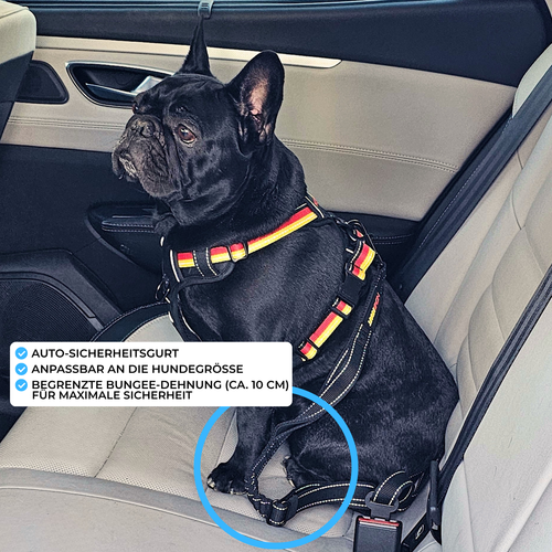 Freihand-Umhängeleine verstellbar mit Auto-Sicherheitsgurt (schwarz)