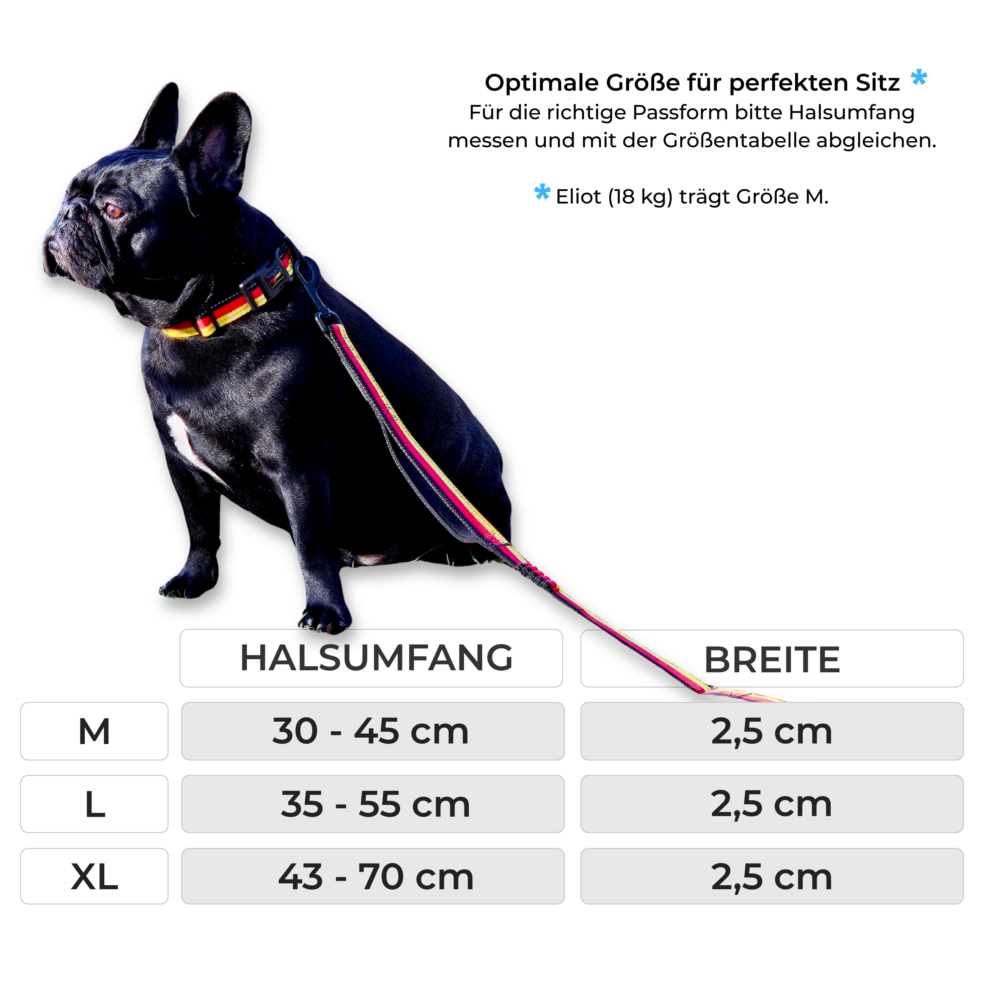 Verstellbares Hundehalsband mit D-Ring
