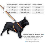Atmungsaktives Anti-Zug-Hundegeschirr